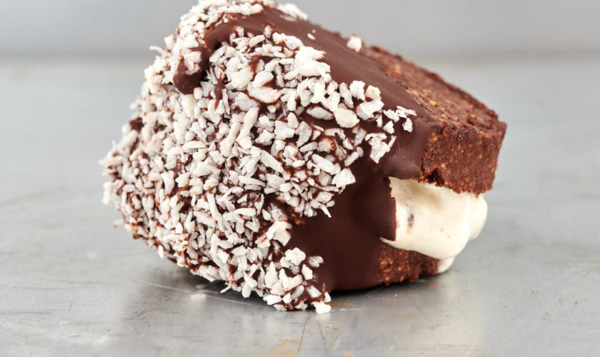 Cocoa Nib Ice Cream Sandwich